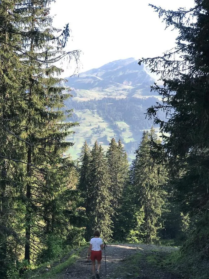 Appartement In De Haute Savoie Saint-Jean-de-Sixt